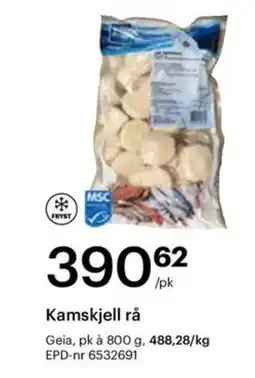 Storcash Kamskjell rå tilbud