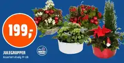 Coop Obs Julegrupper tilbud