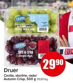 Spar Druer tilbud