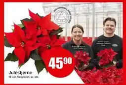 Spar Julestjerne tilbud