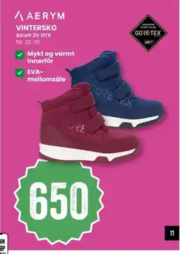 Sport Outlet Aerym vintersko alcott 2v gtx tilbud
