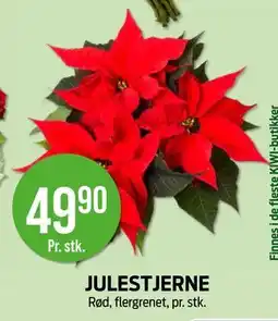Kiwi JULESTJERNE tilbud