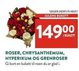 Jacobs ROSER, CHRYSANTHEMUM, HYPERIKUM OG GRENROSER tilbud