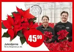 Spar Julestjerne tilbud