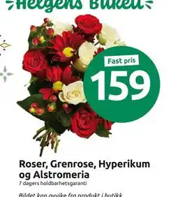 Joker Roser, Grenrose, Hyperikum og Alstromeria tilbud