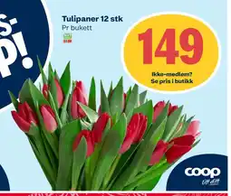 Coop Extra Tulipaner 12 stk tilbud