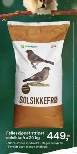 Felleskjøpet Felleskjøpet stripet solsikkefrø 20 kg tilbud
