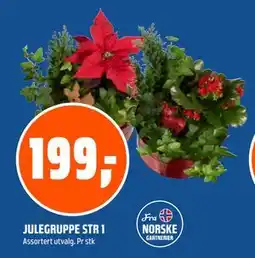 Coop Obs JULEGRUPPE STR 1 tilbud