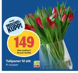 Coop Obs Tulipaner 12 stk, Medlemspris tilbud