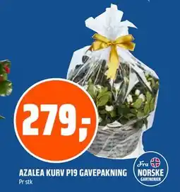 Coop Obs AZALEA KURV P19 GAVEPAKNING tilbud