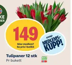 Coop Mega Tulipaner 12 stk, Medlemspris tilbud