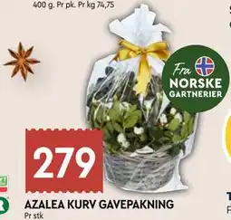 Coop Mega AZALEA KURV GAVEPAKNING tilbud