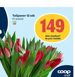 Coop Extra Tulipaner 12 stk tilbud