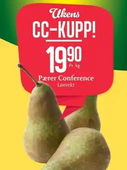 CC Mat Pærer conference tilbud