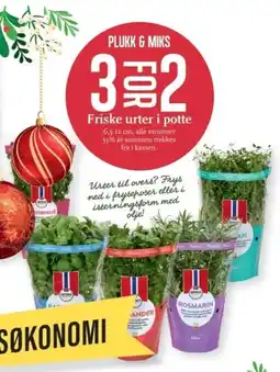 CC Mat Friske urter i potte tilbud