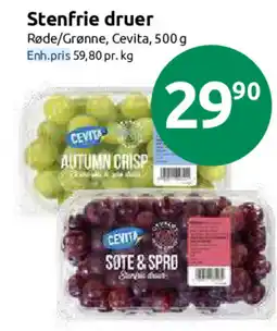 Nærbutikken CEVITA Stenfrie druer tilbud