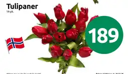 Nærbutikken Tulipaner tilbud