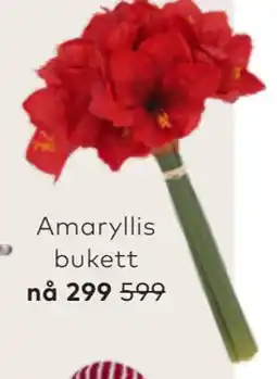 Skeidar Amaryllis bukett tilbud