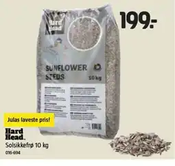 Jula Hard Head Solsikkefrø tilbud