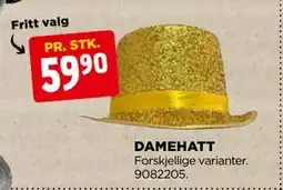 jem & fix DAMEHATT tilbud