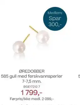 Bjørklund Øredobber 585 gull med ferskvannsperler tilbud
