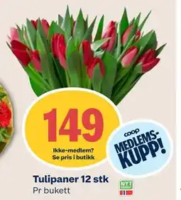 Coop Mega Tulipaner 12 stk, Medlemspris tilbud