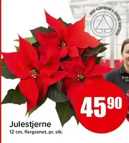 Spar Julestjerne tilbud