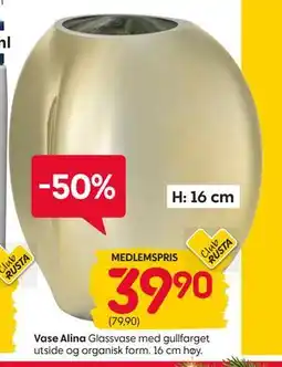 Rusta Vase Alina, Medlemspris tilbud