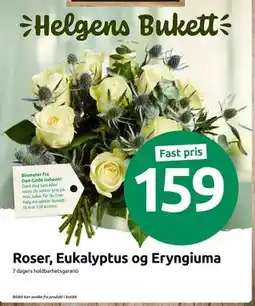Joker Roser, Eukalyptus og Eryngiuma tilbud