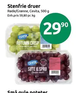 Joker Stenfrie druer tilbud