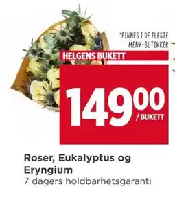 Meny Roser, Eukalyptus og Eryngium tilbud