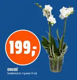 Coop Obs ORKIDÉ tilbud