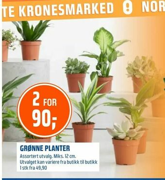 Grønne planter