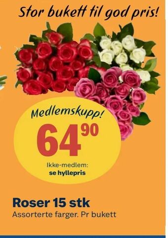 Coop Obs Roser 15 stk tilbud