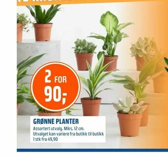 Coop Obs Grønne planter tilbud