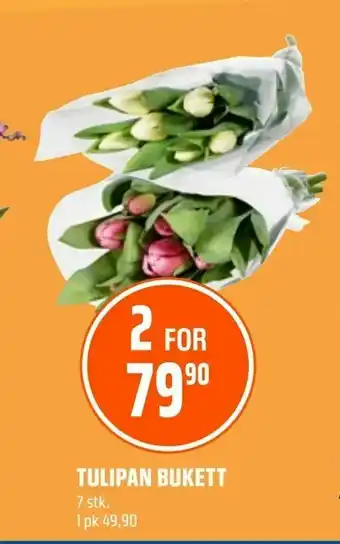 Coop Obs Tulipan bukett tilbud