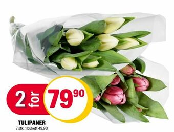 Coop Extra Tulipaner tilbud