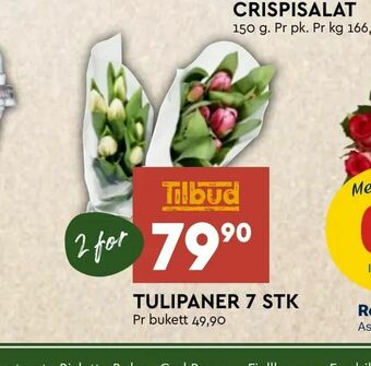 Coop Mega Tulipaner tilbud