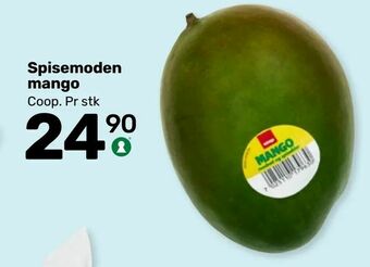 Matkroken Spisemoden mango tilbud