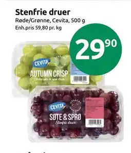 Joker Stenfrie druer tilbud