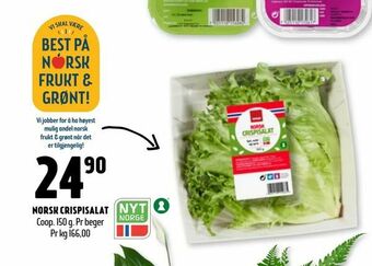 Coop Prix Norsk crispisalat tilbud