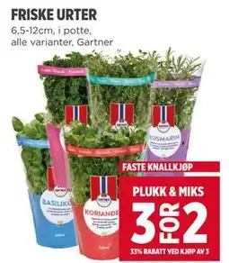 Meny FRISKE URTER tilbud