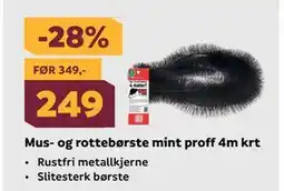 Megaflis Mus- og rottebørste mint proff 4m krt tilbud