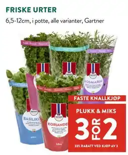 Jacobs FRISKE URTER tilbud