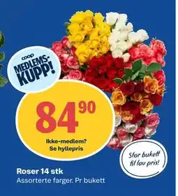 Coop Obs Roser 14 stk, Medlemspris tilbud