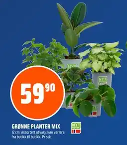 Coop Obs GRØNNE PLANTER MIX tilbud