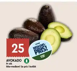 Coop Mega AVOKADO, Medlemspris tilbud
