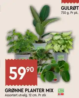 Coop Mega GRØNNE PLANTER MIX tilbud