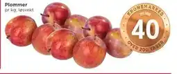Meny Plommer tilbud