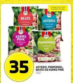 Bunnpris ASTERIX, PIMPERNEL, BEATE OG KERRS PINK tilbud